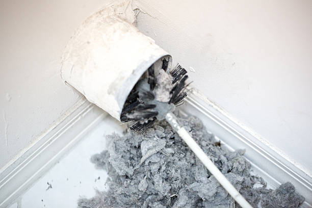 Best Home Air Vent Cleaning  in Edwards Af, CA